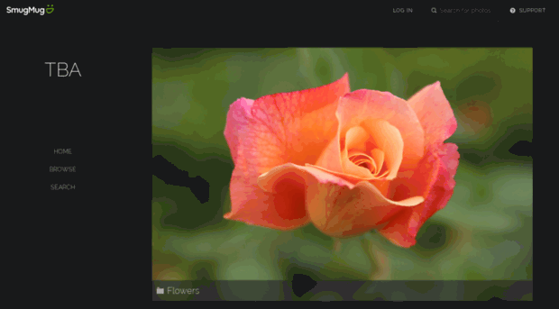 tba.smugmug.com