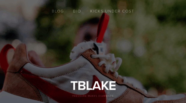 tblake.info