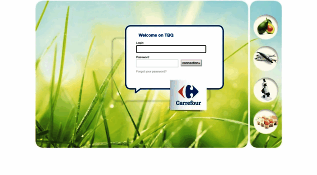 tbq.carrefour.com