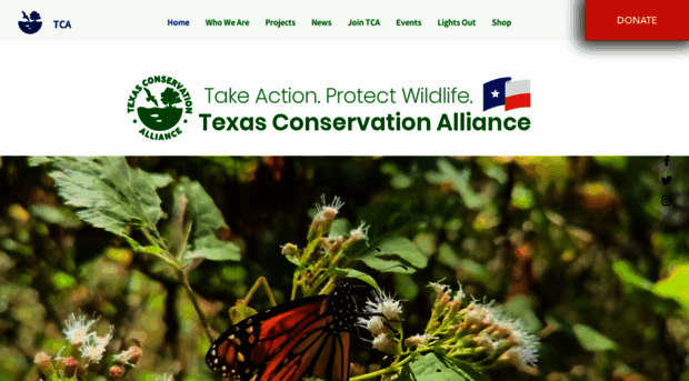 tcatexas.org