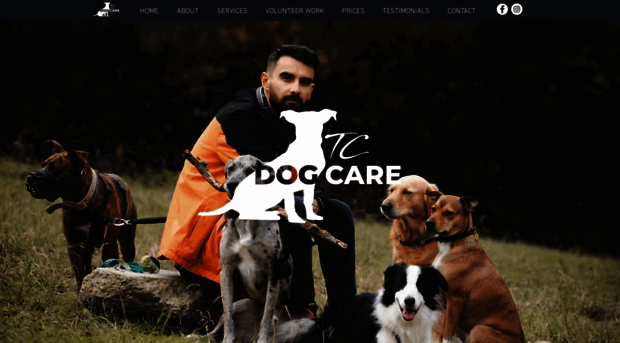 tcdogcare.com