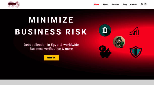 tcmegypt.com