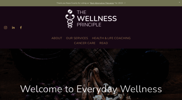 tcmwellnessprinciple.com