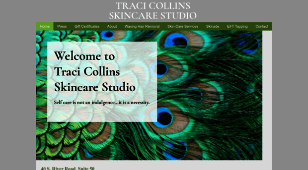tcskincarestudio.com