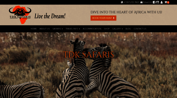 tdksafaris.com