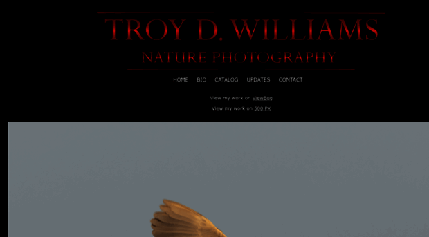 tdwilliamsphotography.com