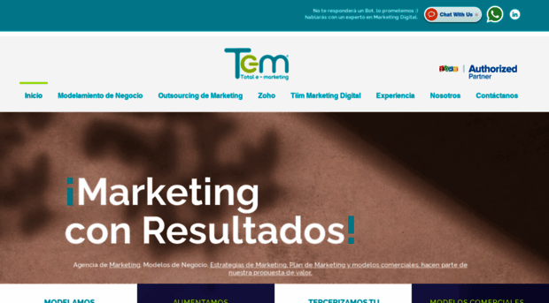 te-m.com