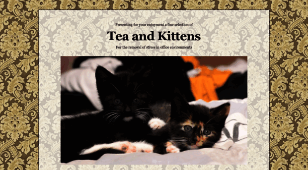 teaandkittens.co.uk