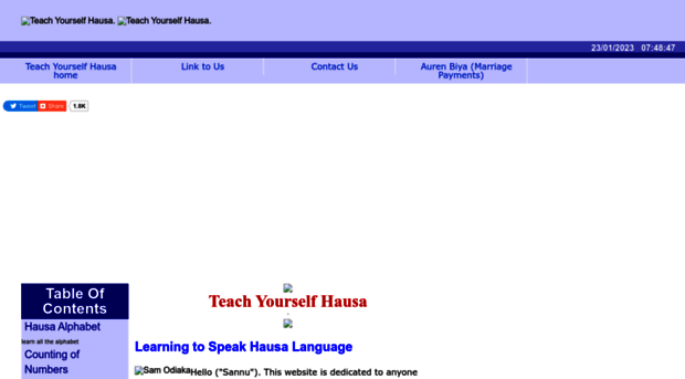 teachyourselfhausa.com