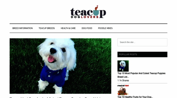 teacupdoglovers.com