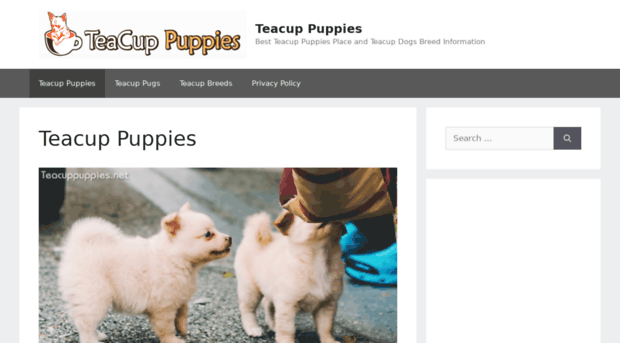 teacuppuppies.net