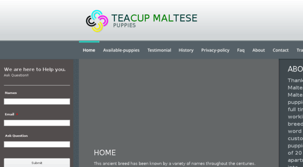 teacupsmaltesepuppies.com