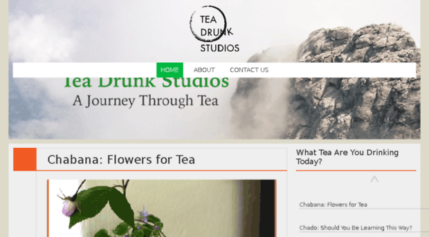 teadrunkstudios.com