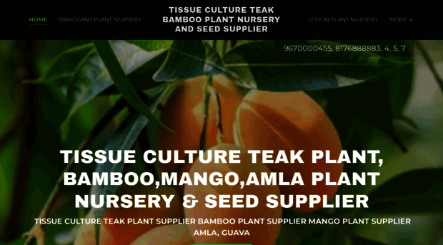 teakplant.com