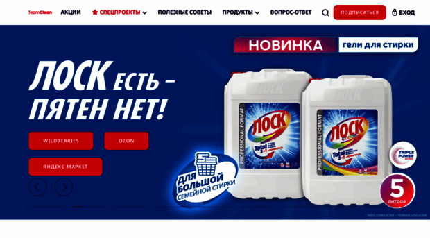 team-clean.ru