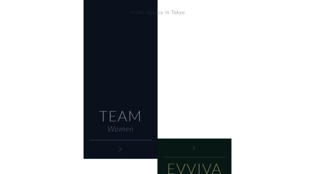 team-evviva.com