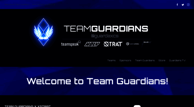 team-guardians.de