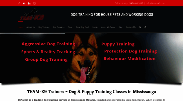 team-k9.com