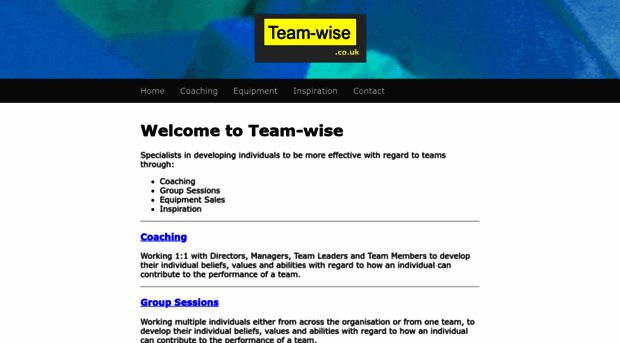 team-wise.co.uk