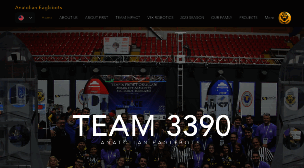 team3390.com