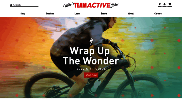 teamactive.com