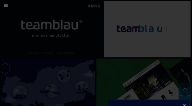 teamblau.com