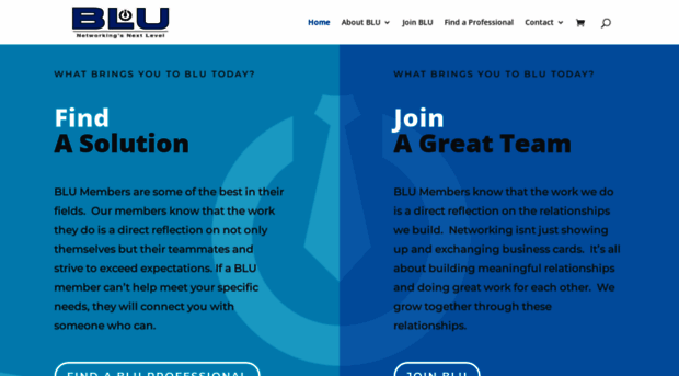 teamblu.org