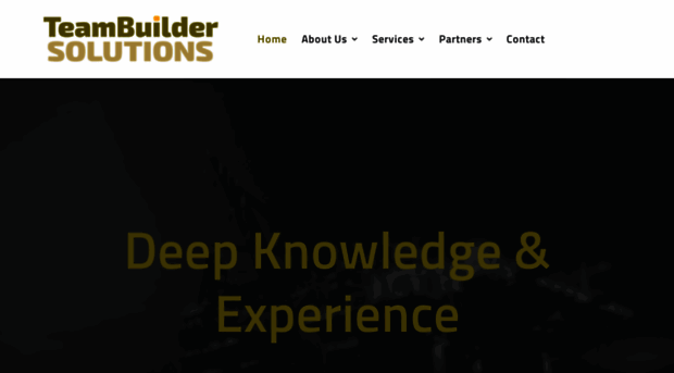 teambuildersolutions.com