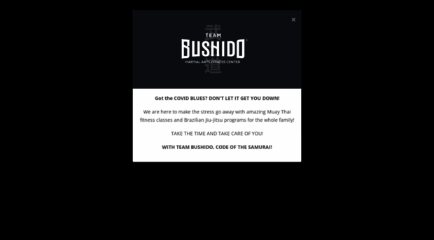 teambushido.com