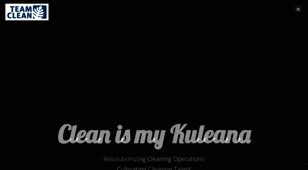 teamcleanhawaii.com