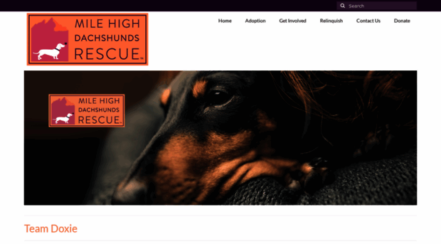 teamdoxie.com