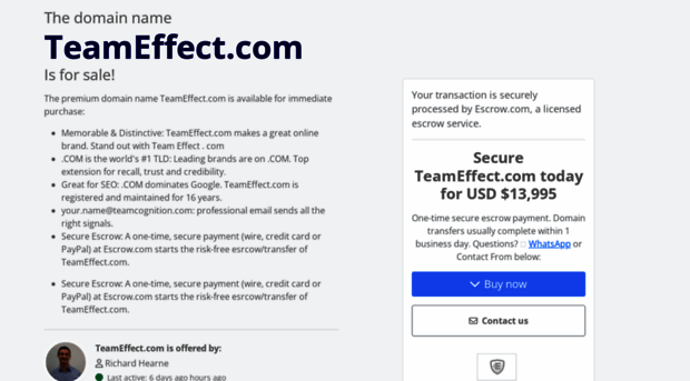 teameffect.com