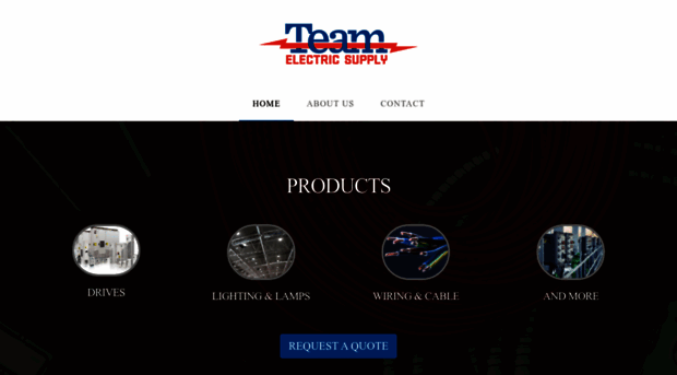 teamelectric.com