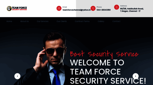 teamforcesecurity.net