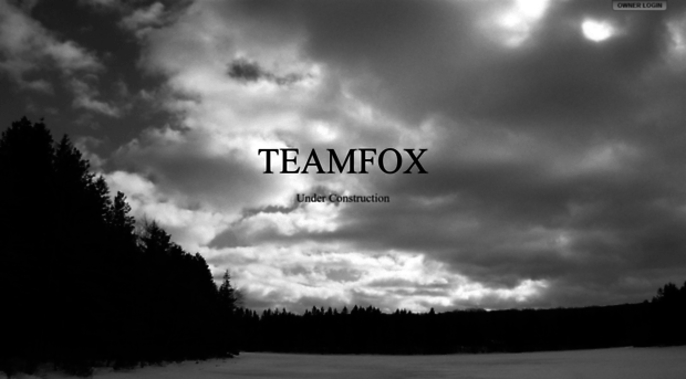 teamfox.com