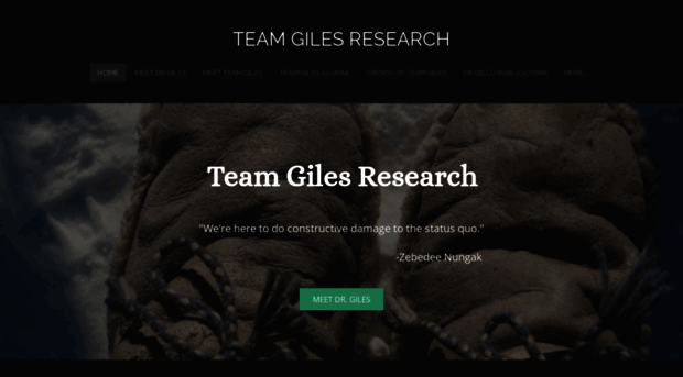 teamgilesresearch.com