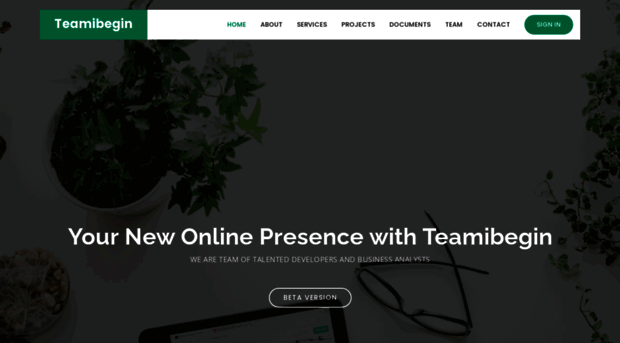 teamibegin.com