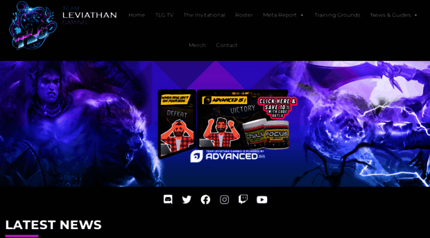 teamleviathangaming.com