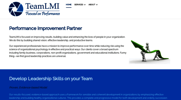 teamlmi.com