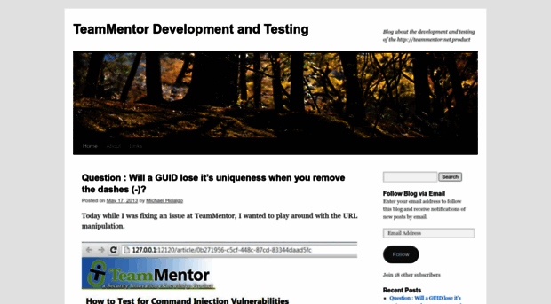 teammentordevelopment.wordpress.com