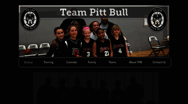 teampittbull.com