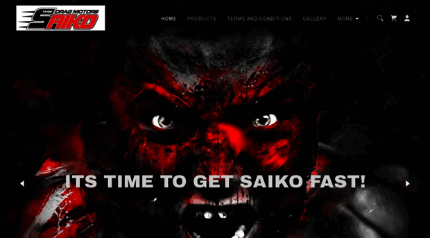 teamsaiko.com