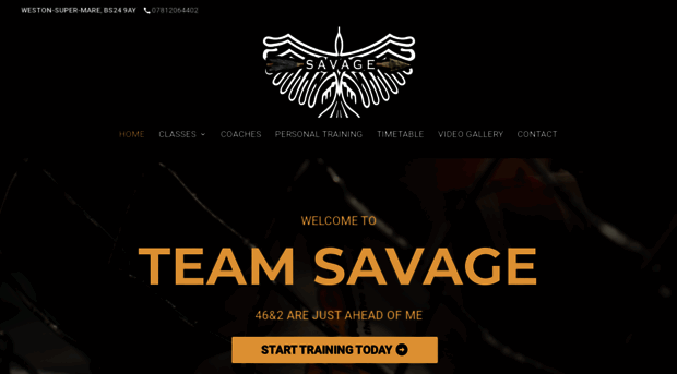 teamsavage.co.uk