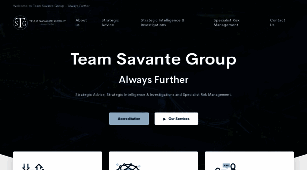 teamsavante.com