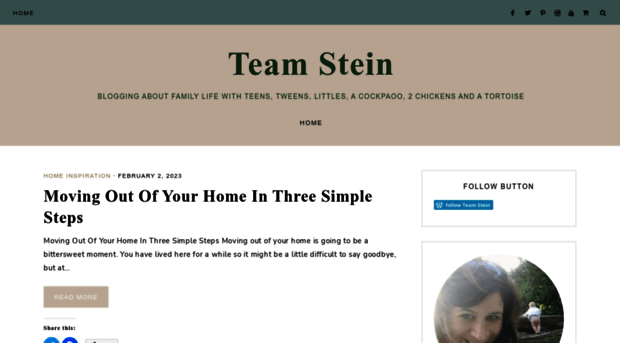 teamsteinblog.com