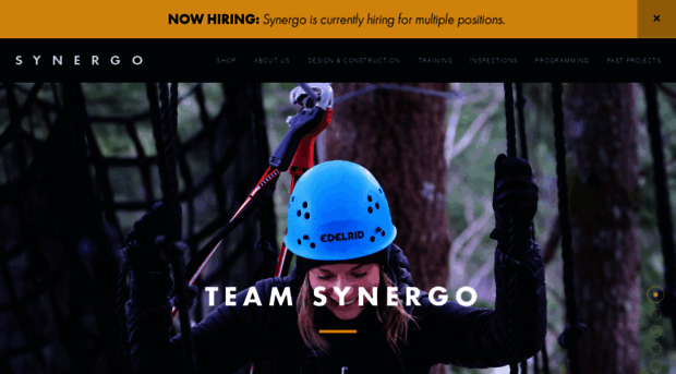 teamsynergo.com