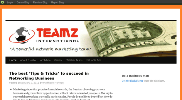 teamzinternational.blog.com