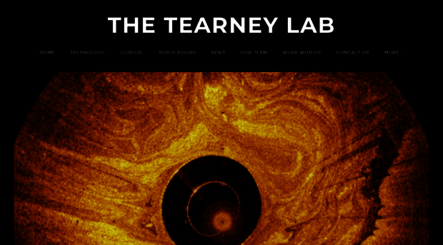 tearneylab.org