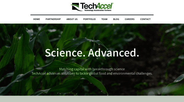 techaccel.net