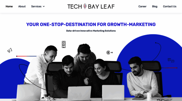 techbayleaf.com